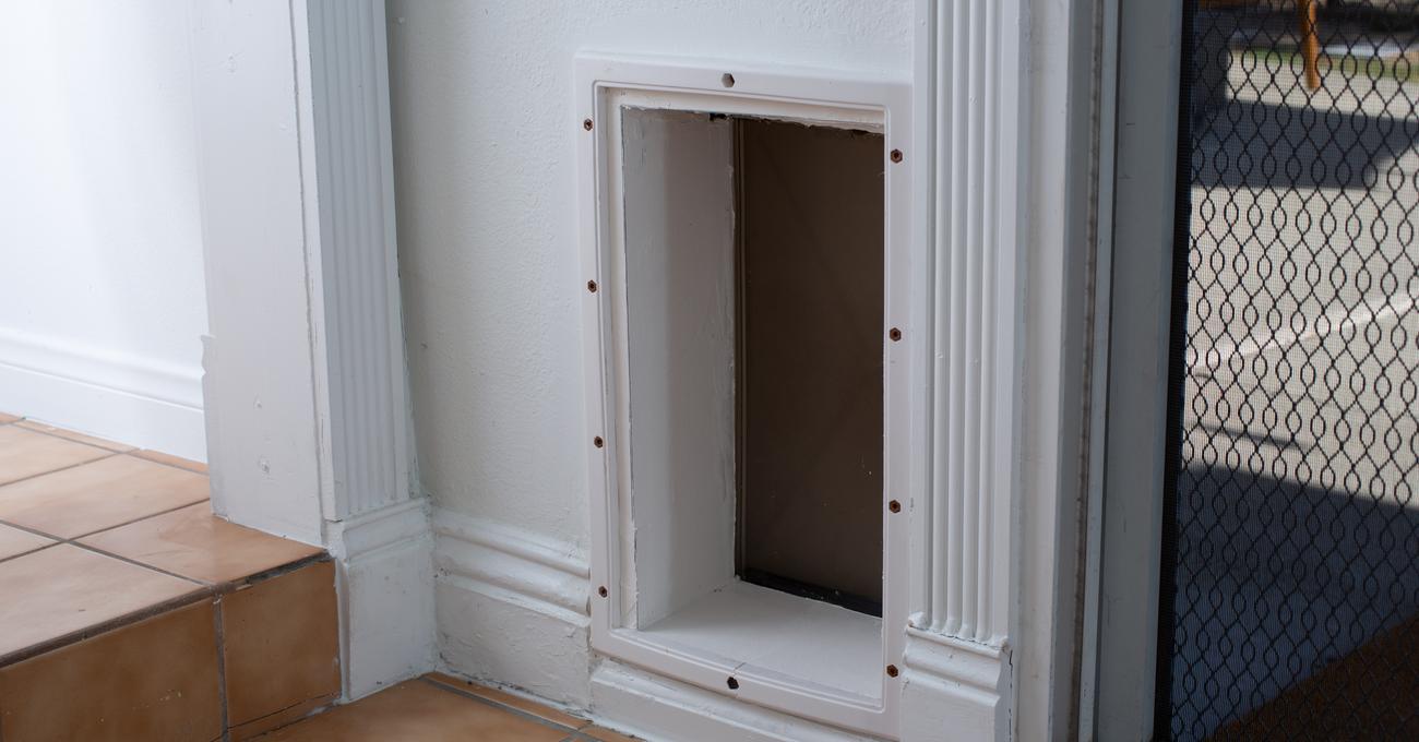 7 Best Automatic Smart Dog Doors Everything Labradors