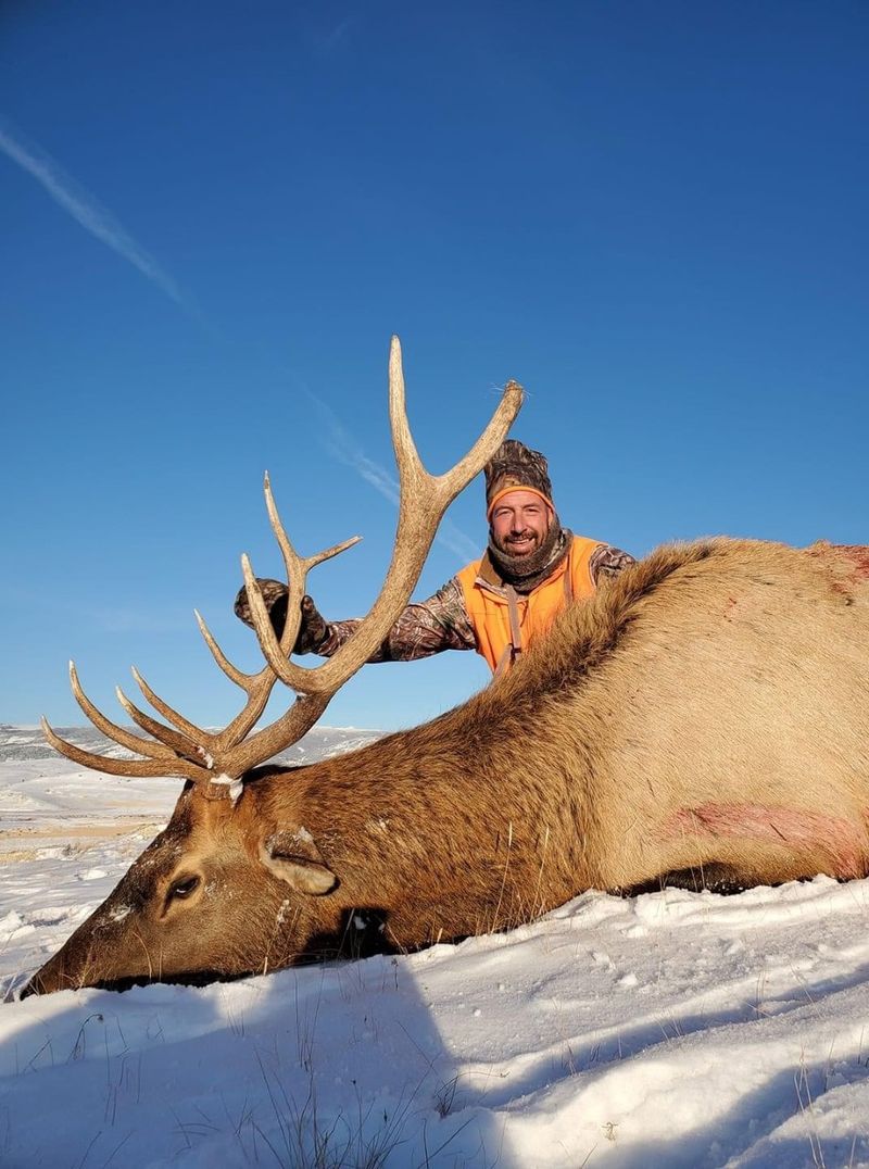 Montana Trophy Elk Hunt in White Sulphur Springs, Montana Shoshone