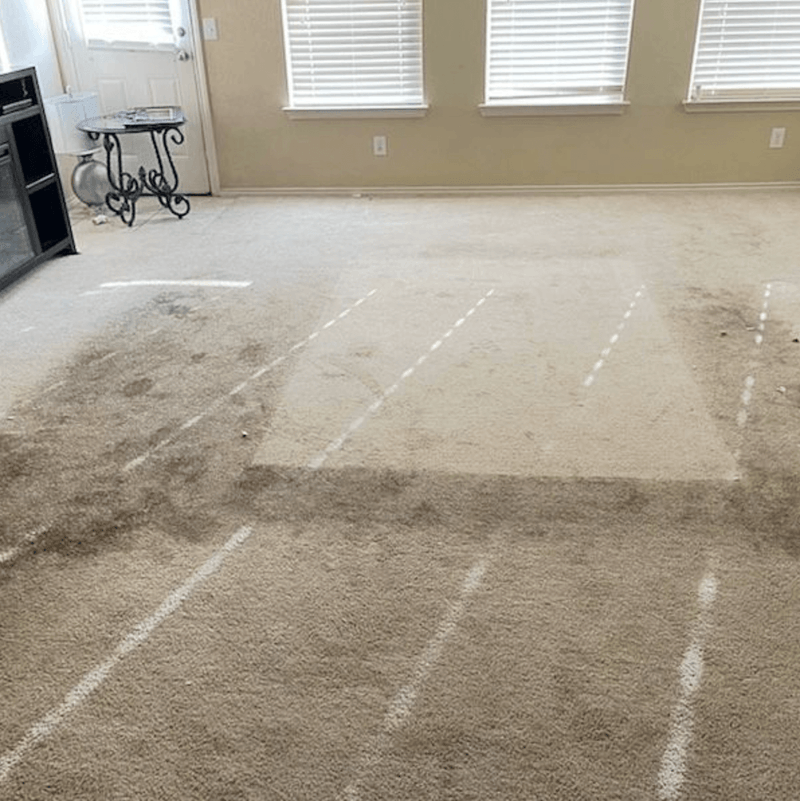 Fosters Steamer Carpet Cleaning Cleaning And Sanitizing