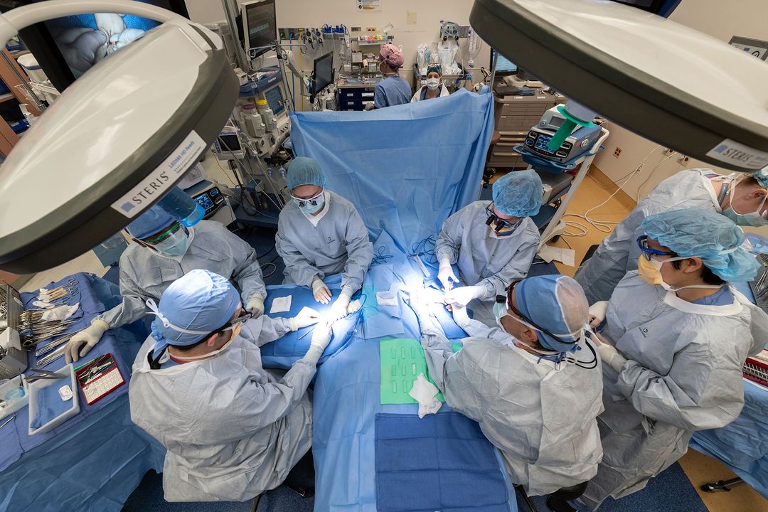 BCH Plastic and Oral Surgery Fellowships