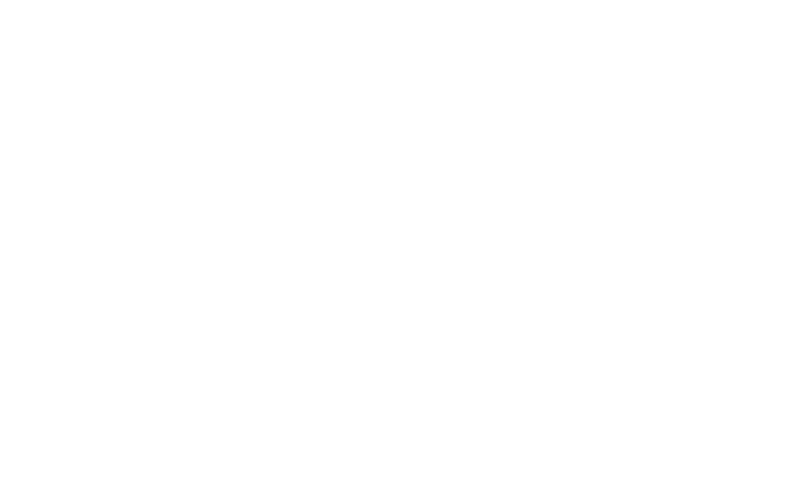 Autronica Fire and Security