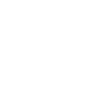 Dot The i Logo White