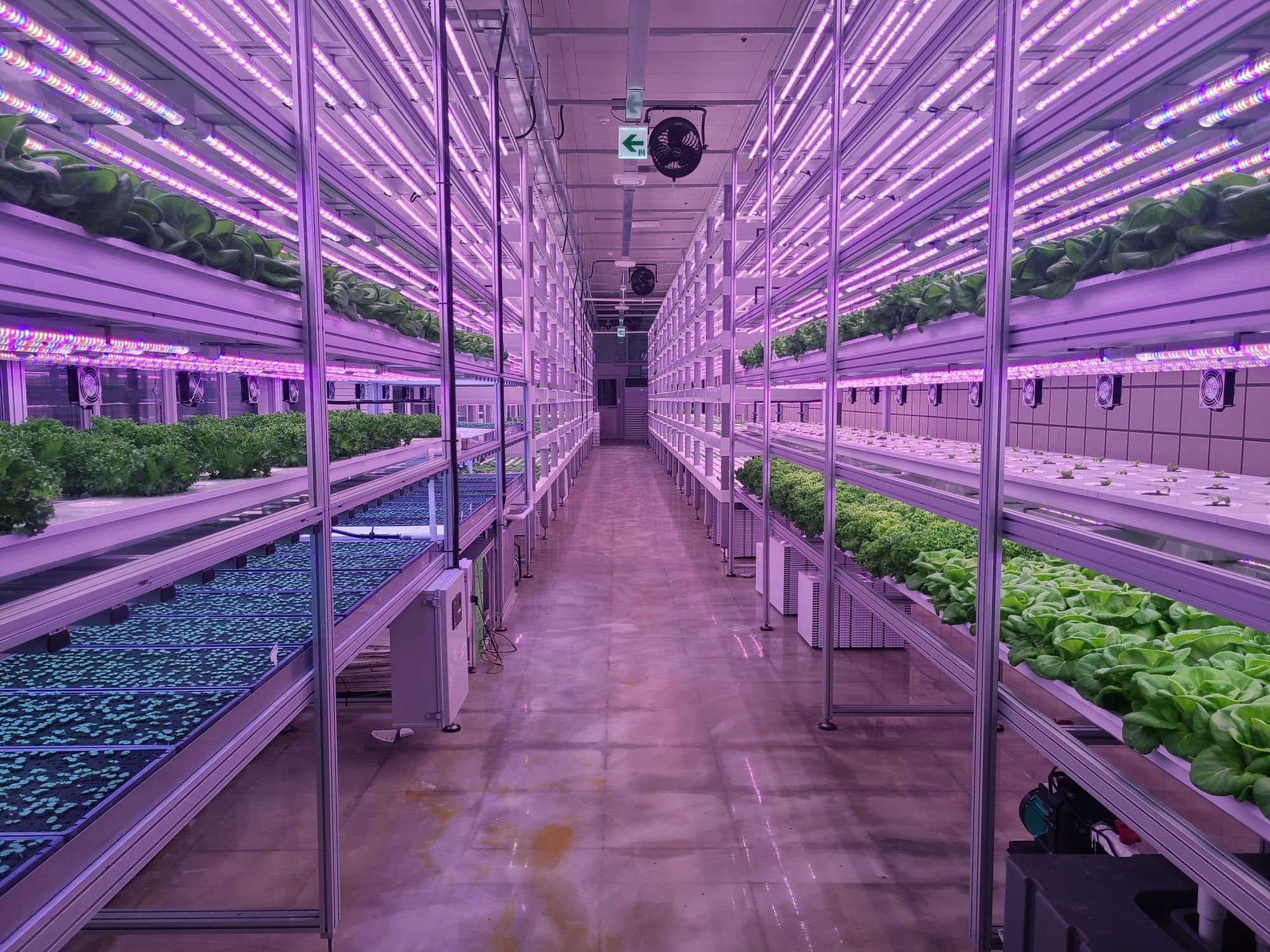 Indoor Farm | Agrozone