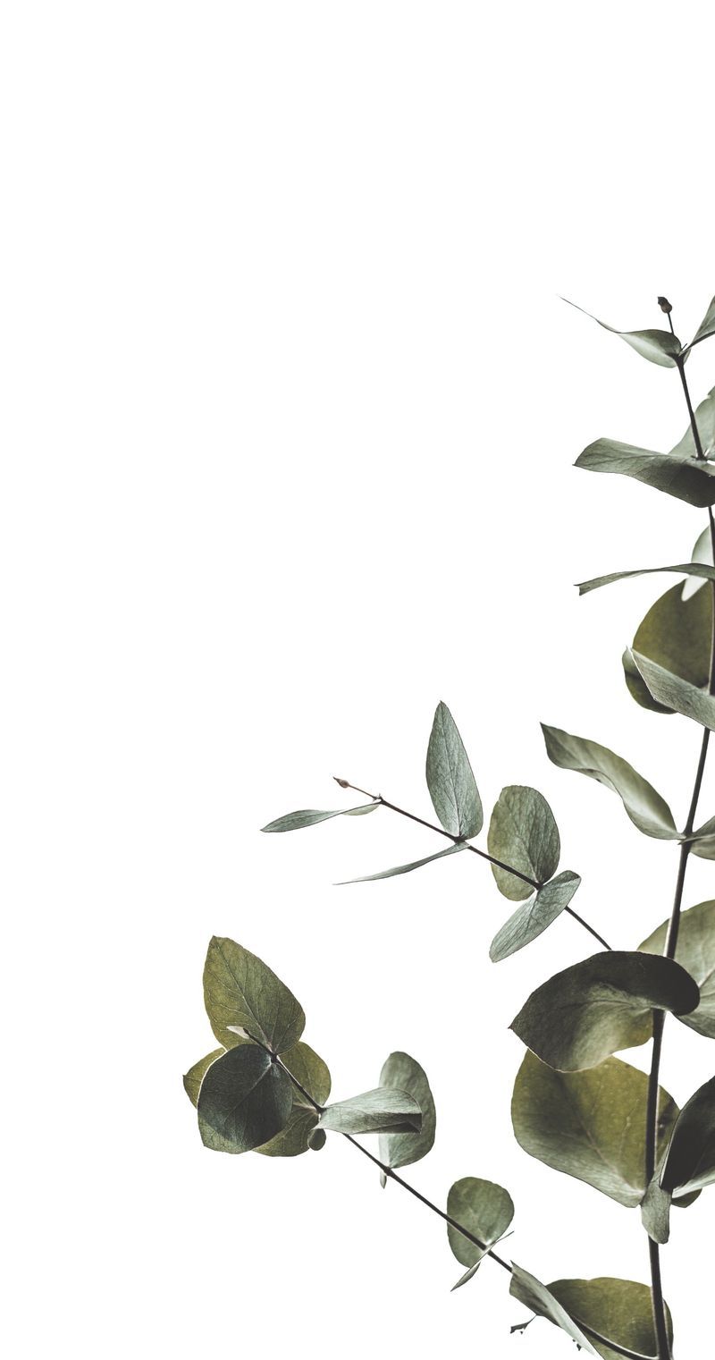 Advanced endodontic services in Town and Country, MO Sage Endodontics