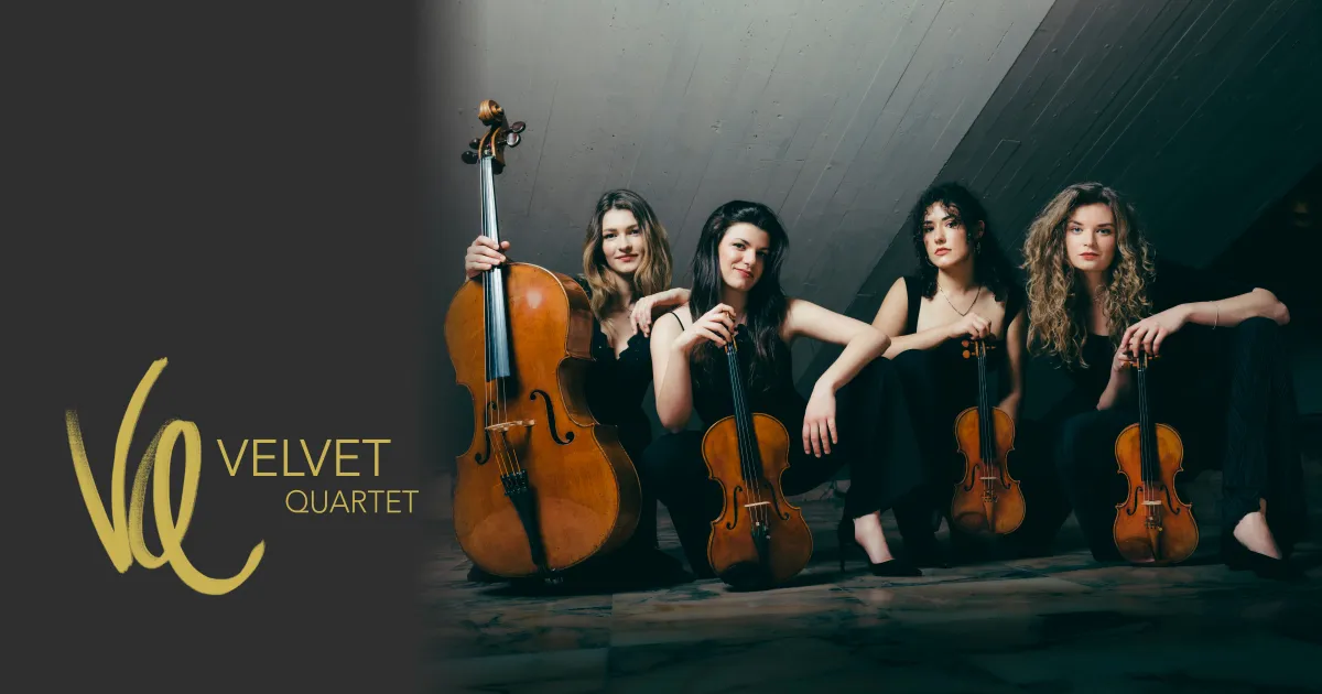 Velvet Quartet | Official Website