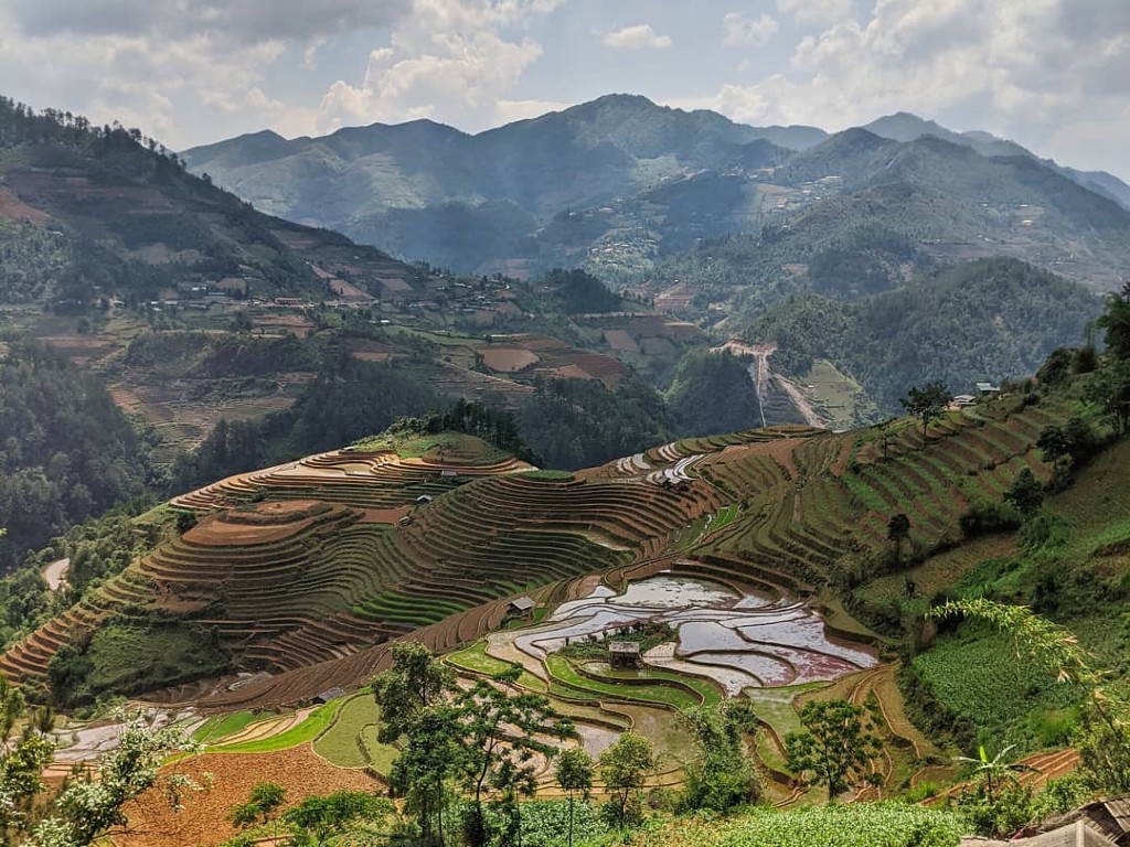 Mù Cang Chải