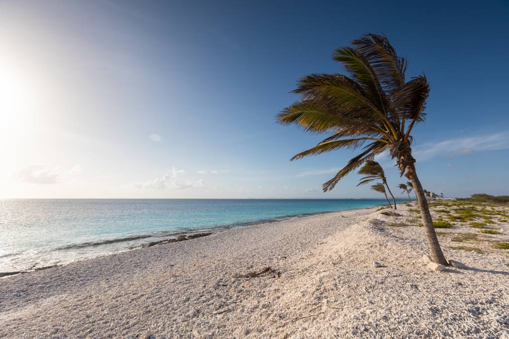 Bonaire beach.