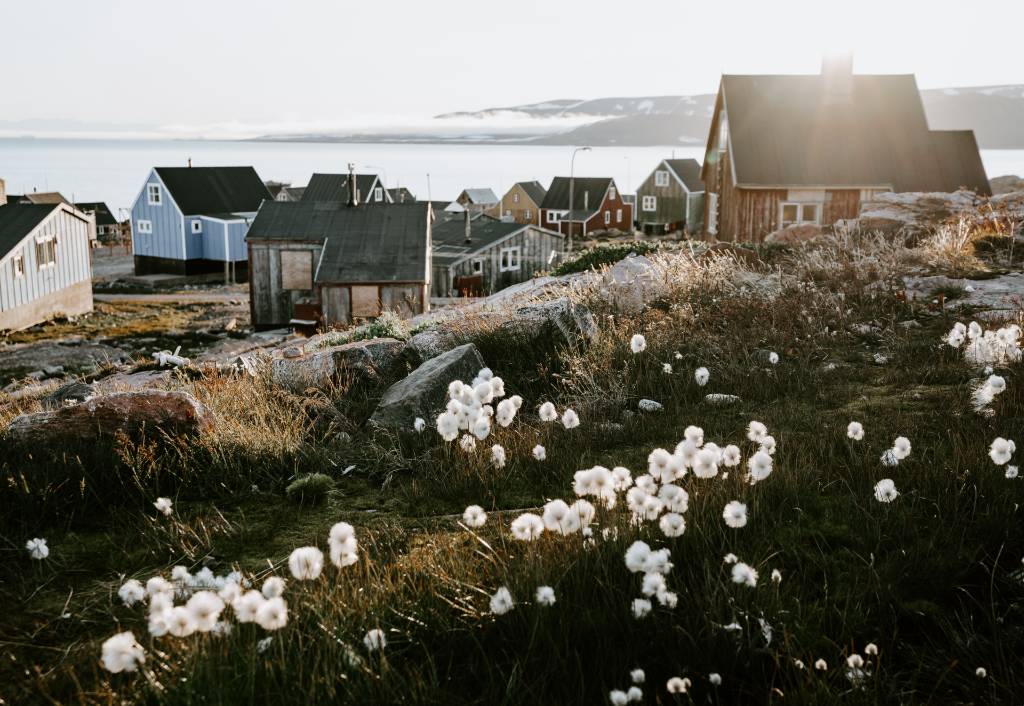 Greenland in summer.