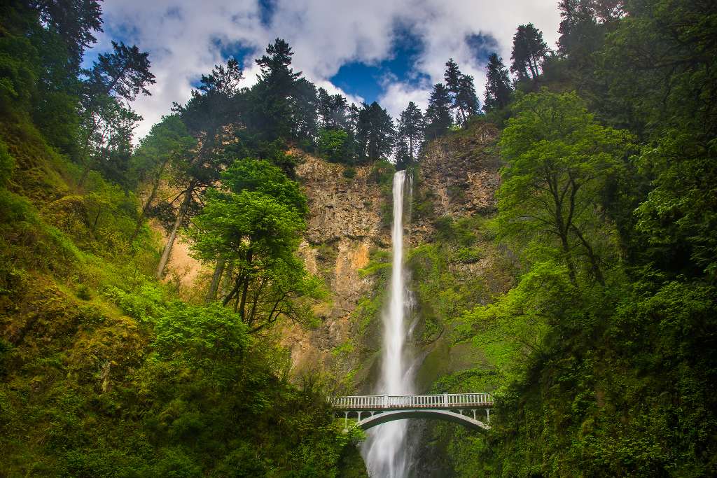 Multnoma