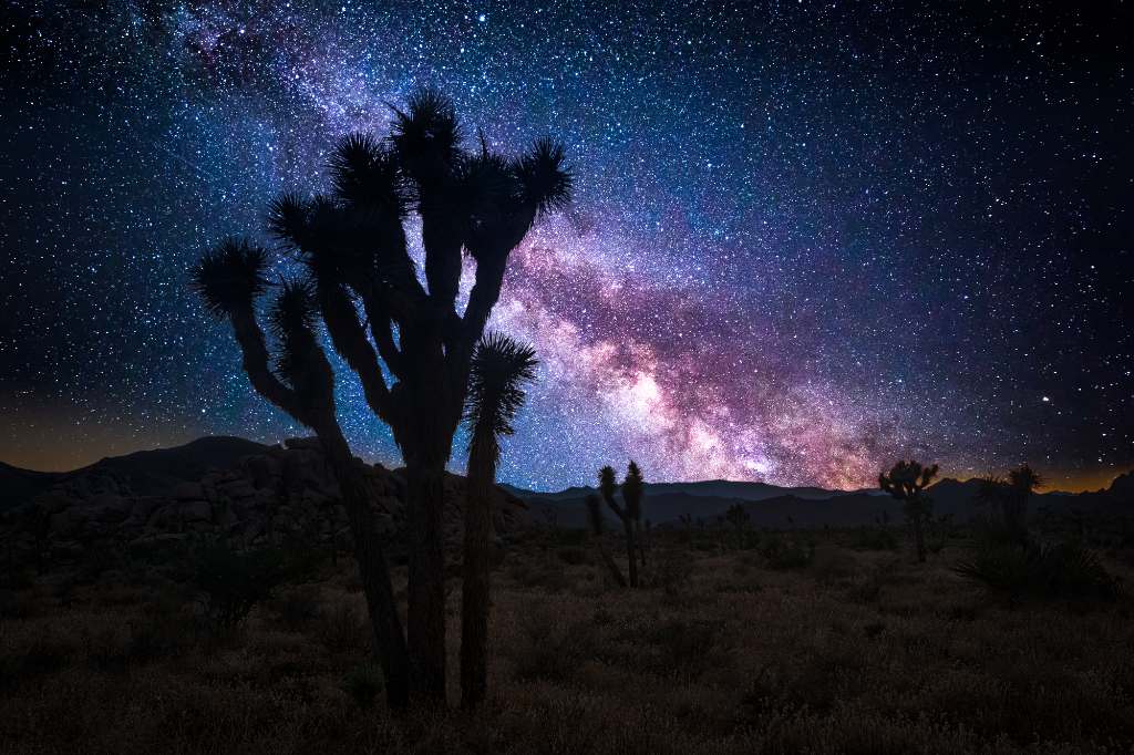 Joshua tree national park at night