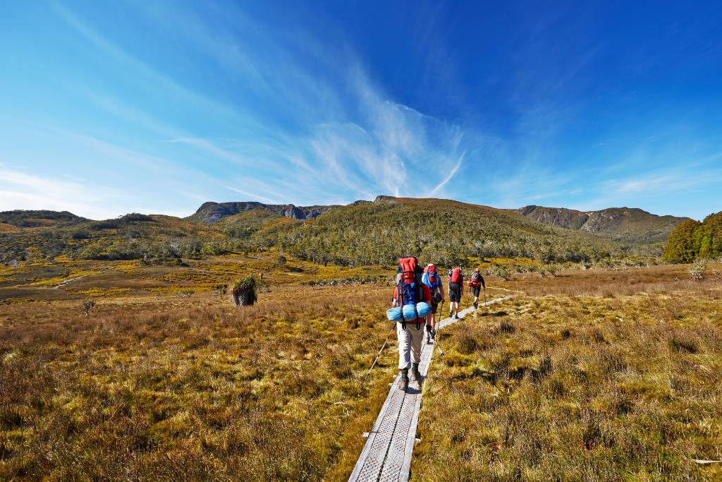 walking Tasmania's South Coast Track.