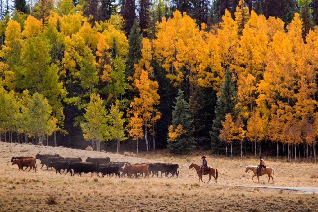 dude ranch in Colorado.
