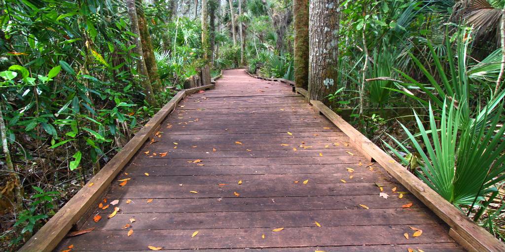 Wekiwa Springs State Park