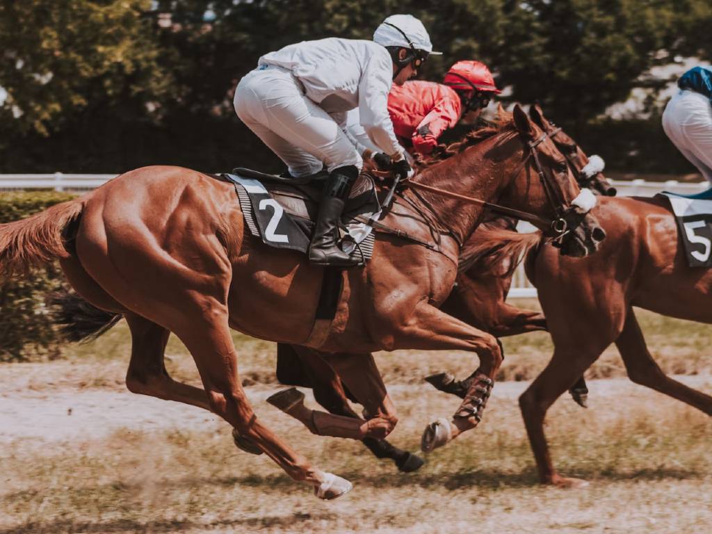 A jockey and race horse in Hong Kong