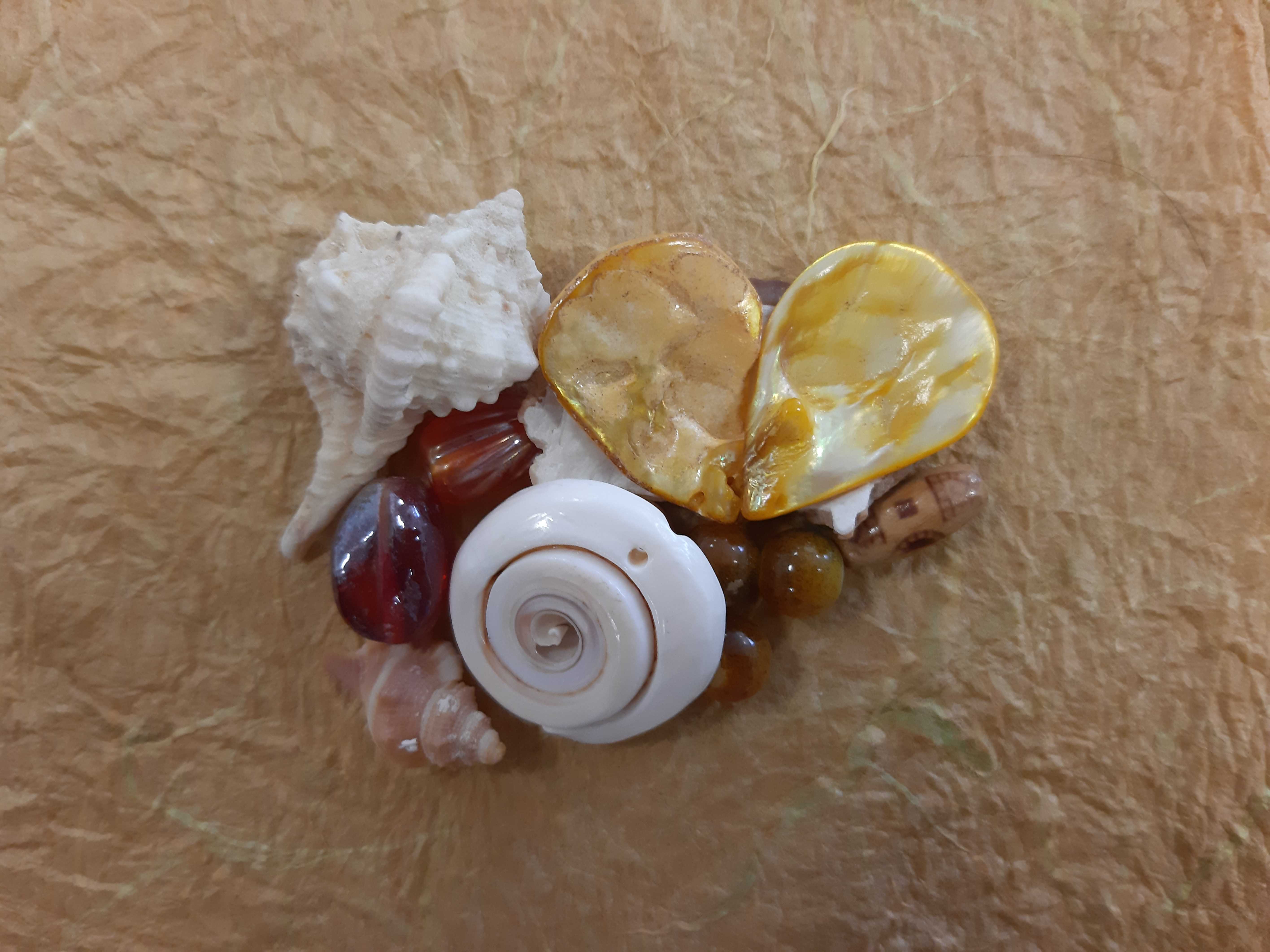 Shell Artwork.