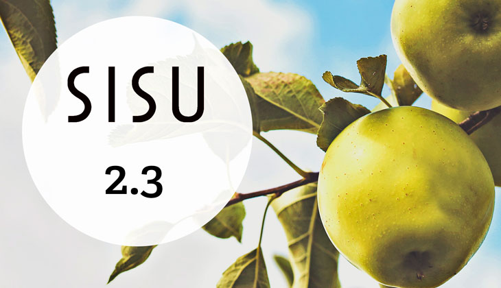 Sisu 2.3: Yhdessä suunnittelemalla kohti syyslukukautta