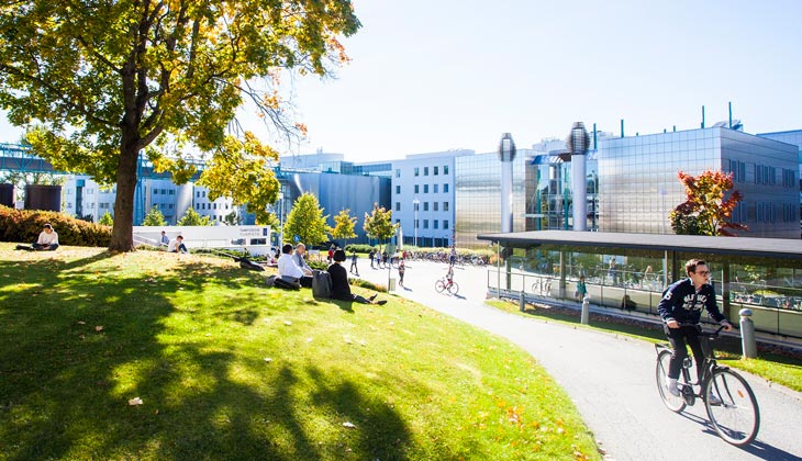 Opettajat mukana Sisun kehitystyössä