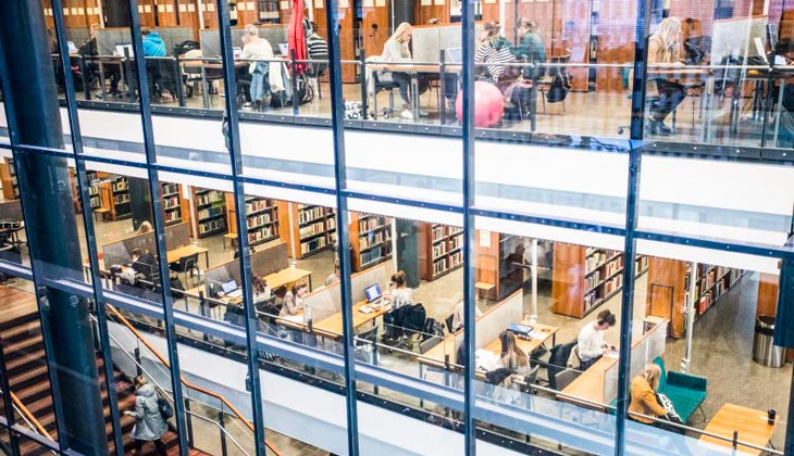 Panosta avoimeen viestintään ja kahdeksan muuta vinkkiä Sisun käyttöönottoon