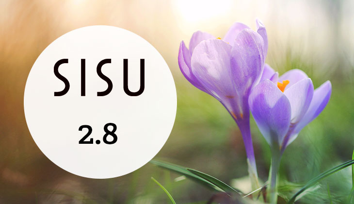 Sisu 2.8: Miksi Sisu versioidaan?