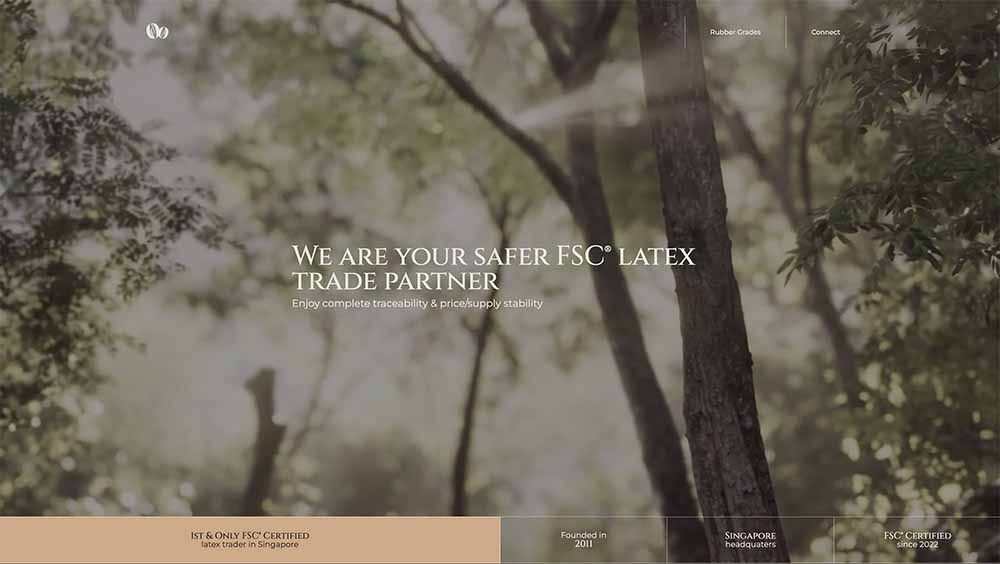 Everwin Rubber website design by VoltMeUp