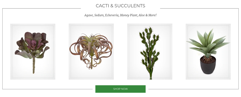 example of optimized images on ecommerce site, autograph foliages
