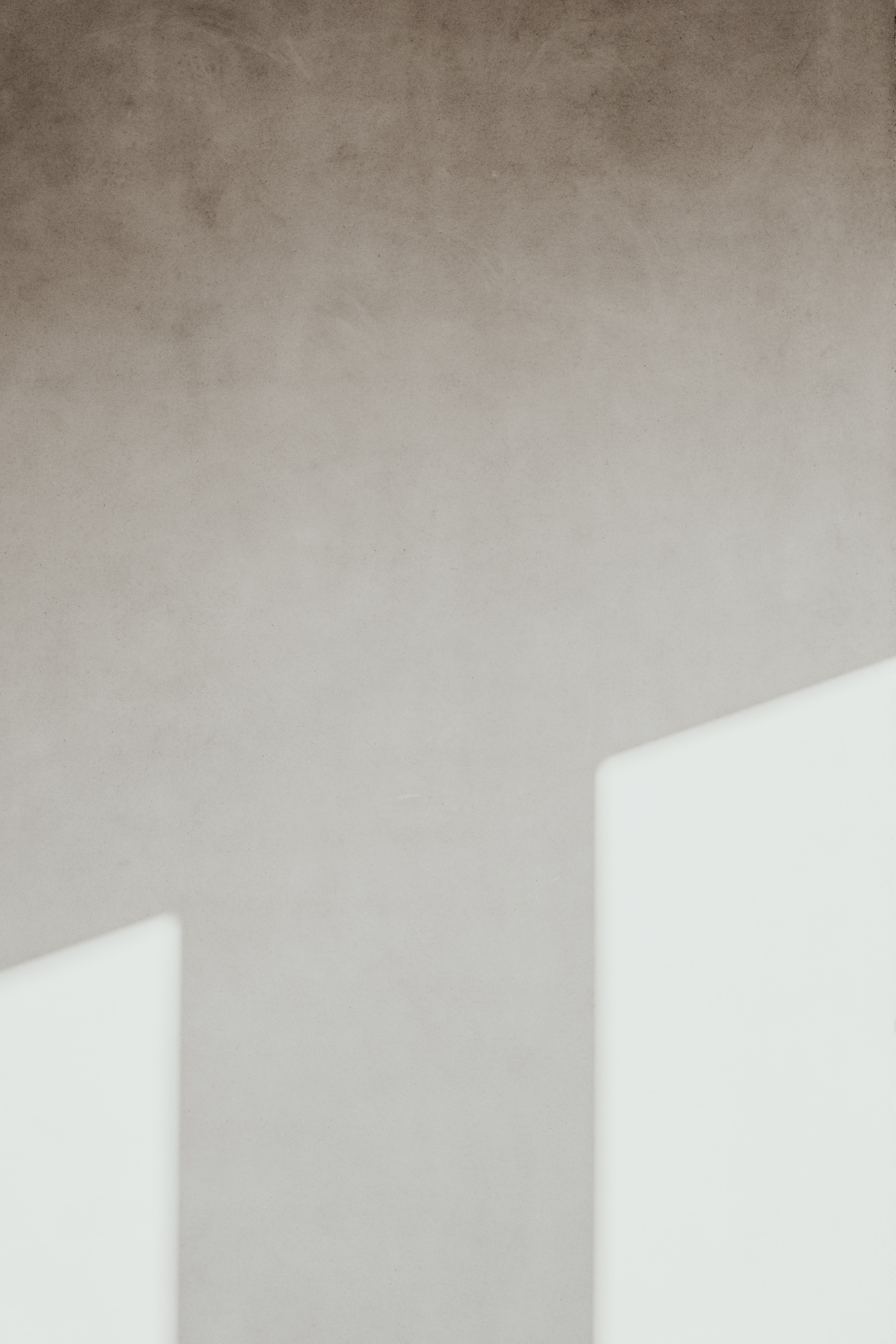 Branding en webflow website ontwikkling voor two birds design, een interieur agency
