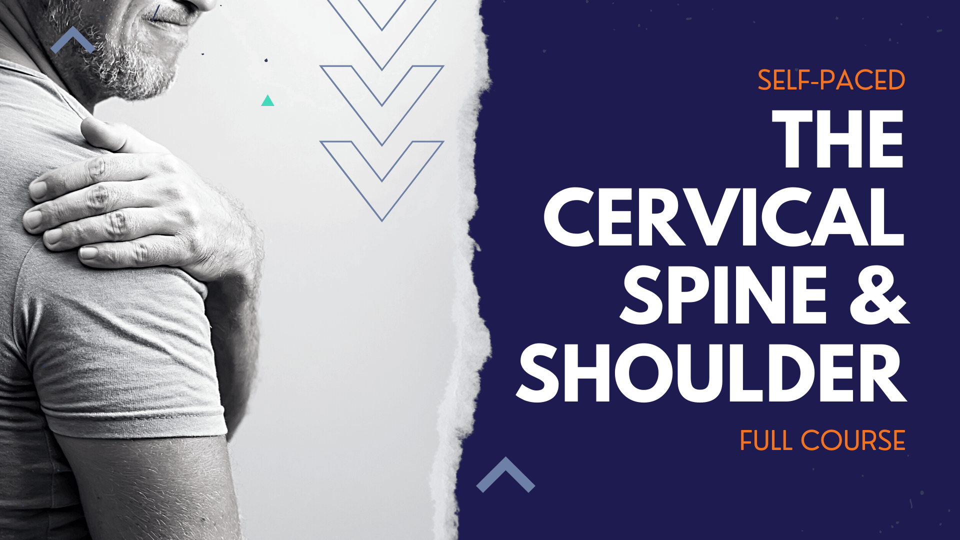 The Cervical Spine and Shoulder