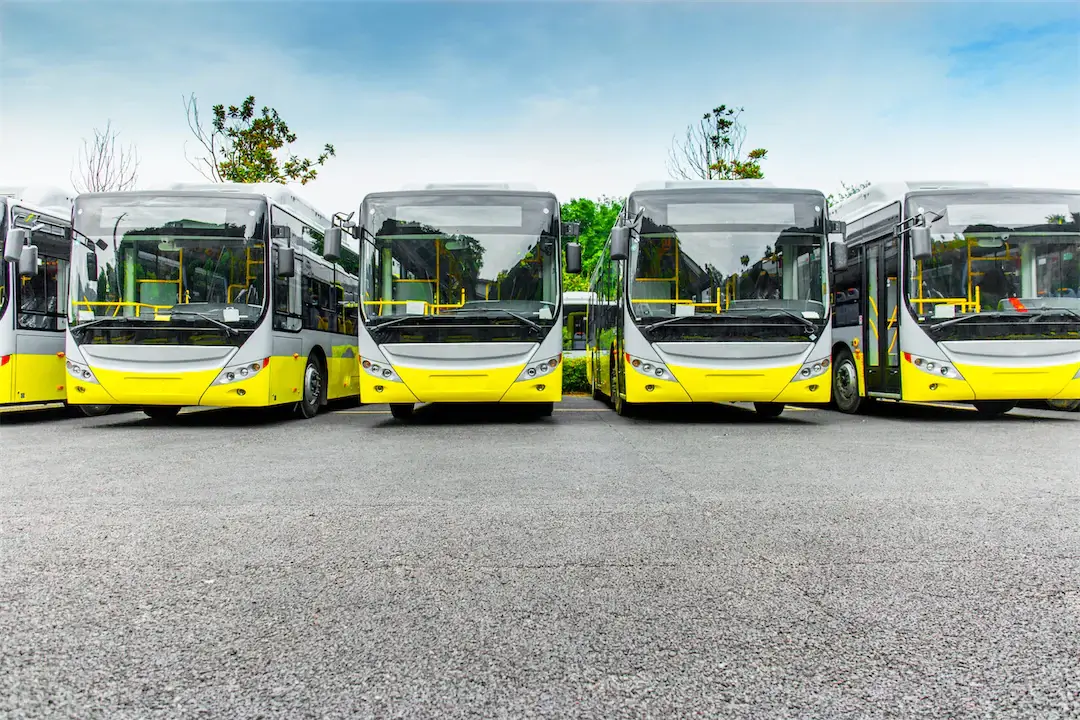 Bus Fleet