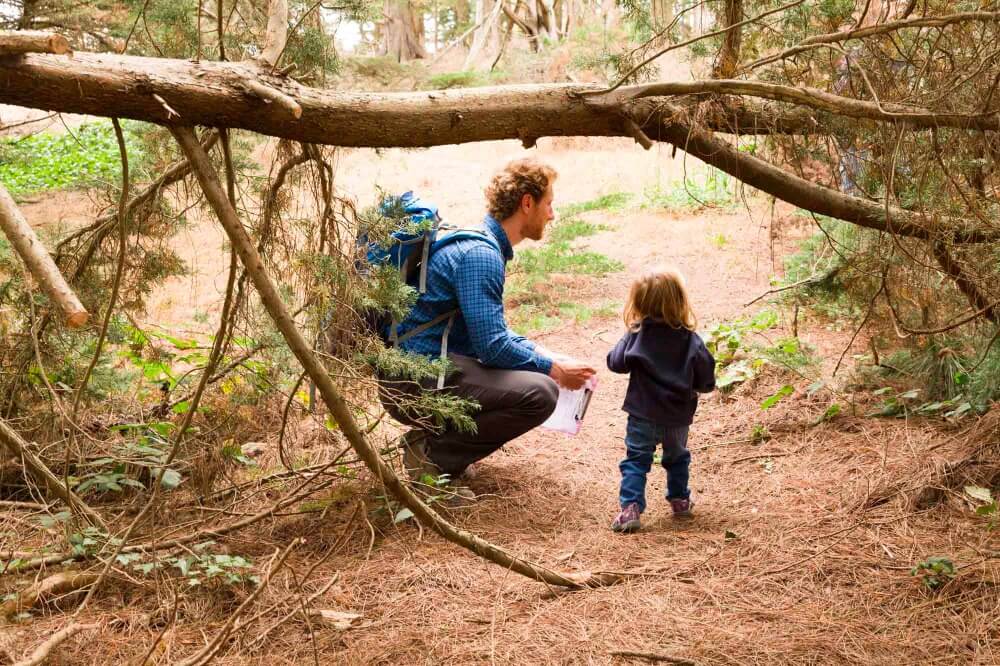 Discover Forest Schools Wondderschool