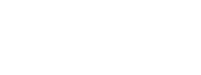 electric capital