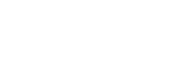 vinny lingham