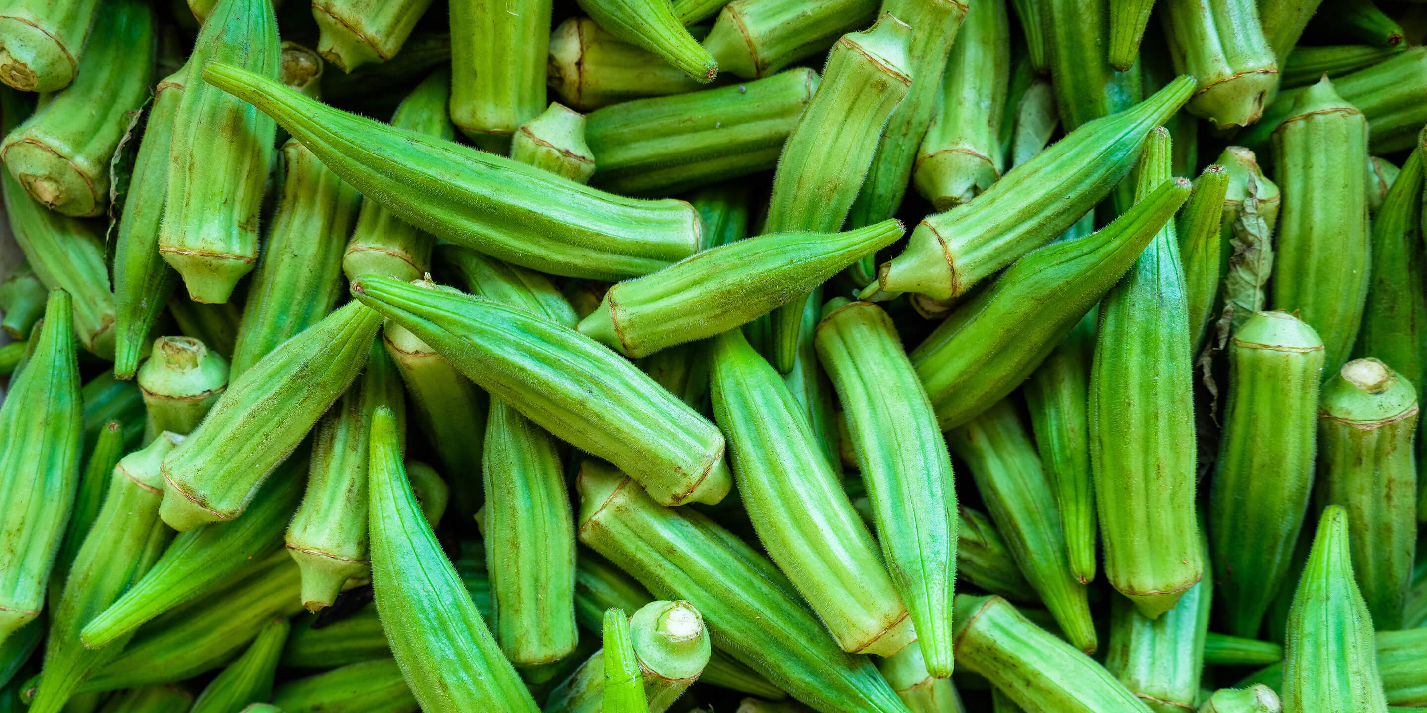 Okra at Hazel Technologies