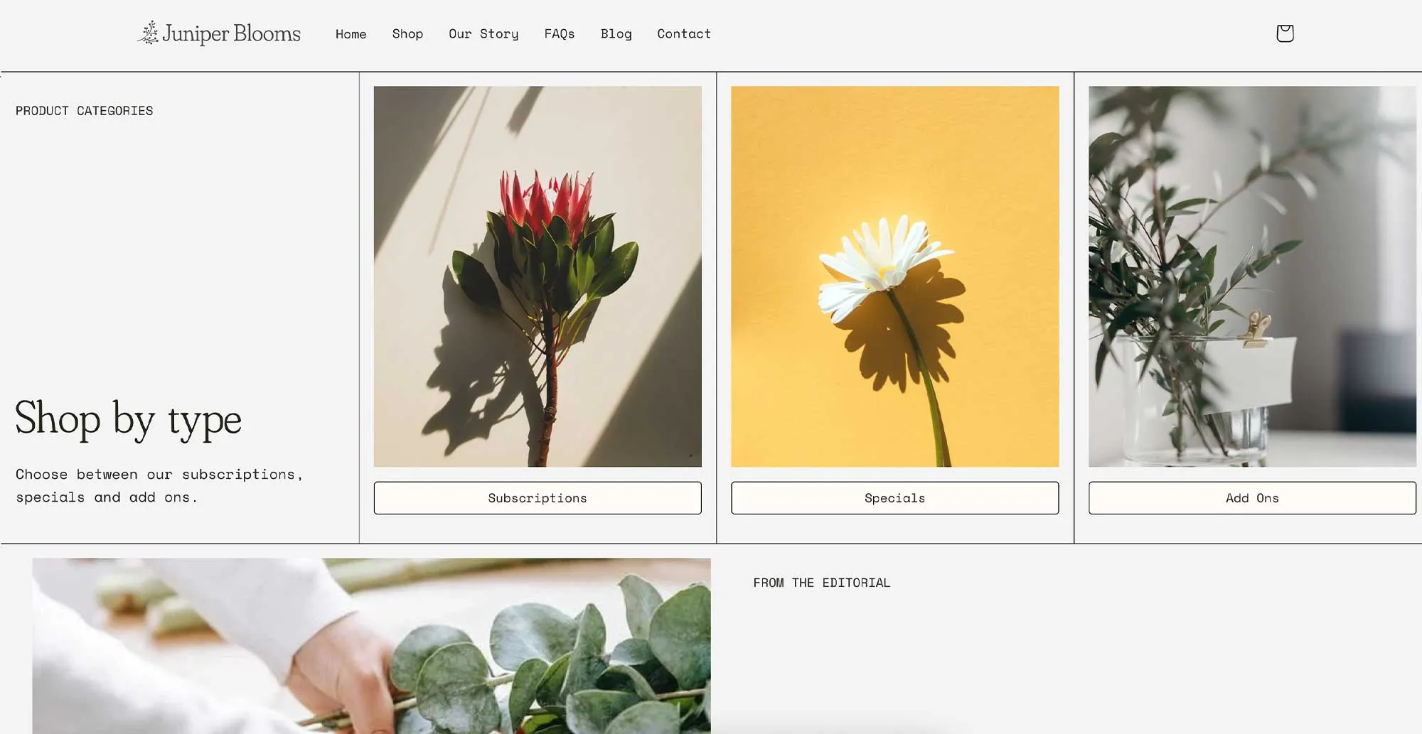 Goodie Web Design | Sunshine Coast Agency