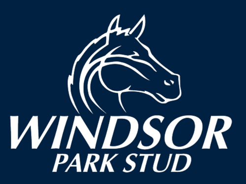 Winsor Park Stud Logo