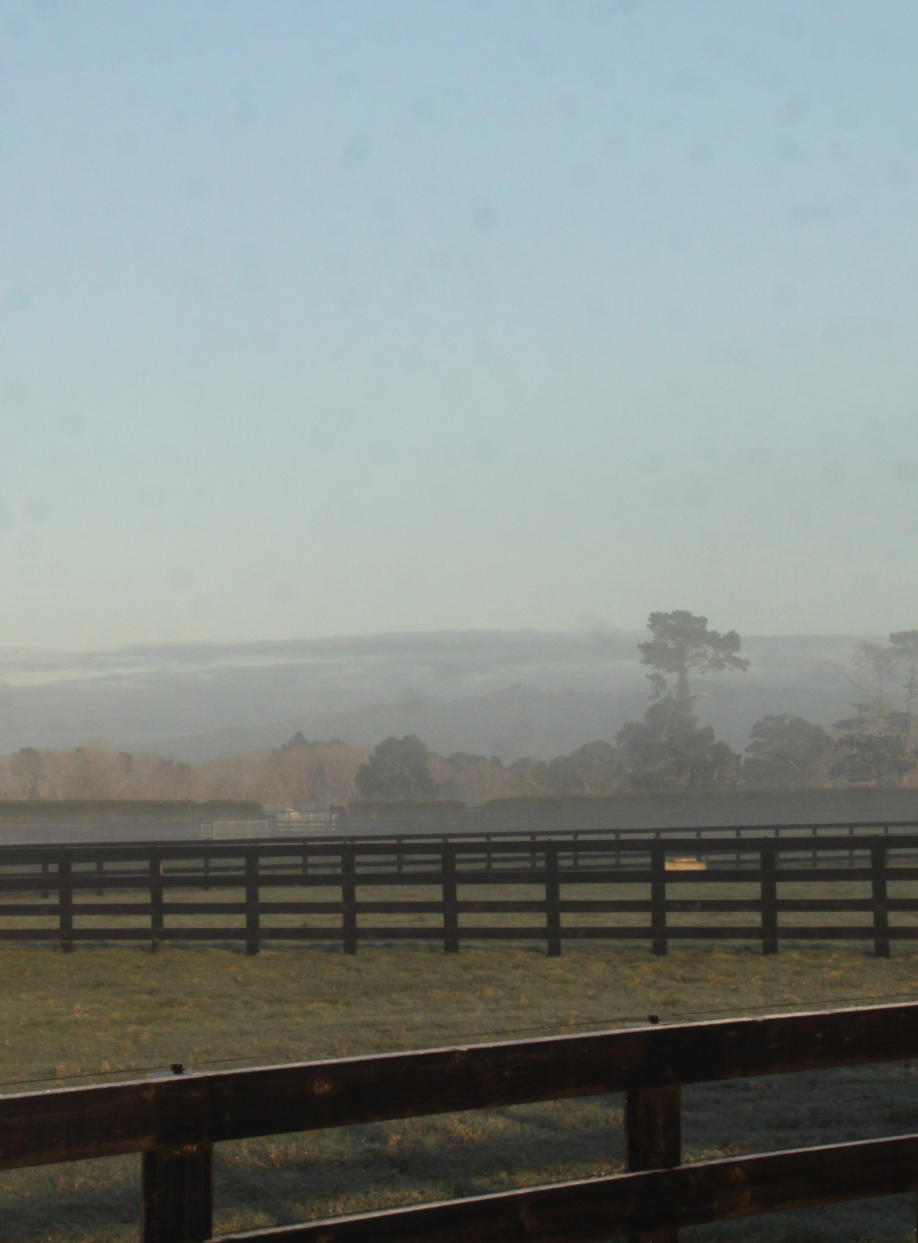 Paddock for horses