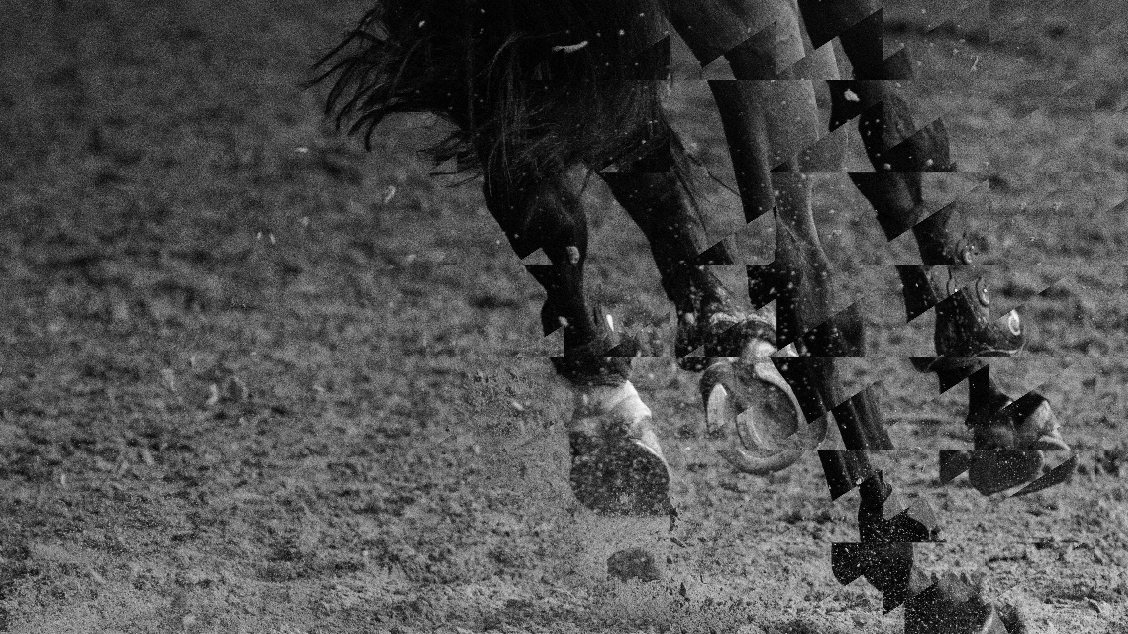 Horse racing