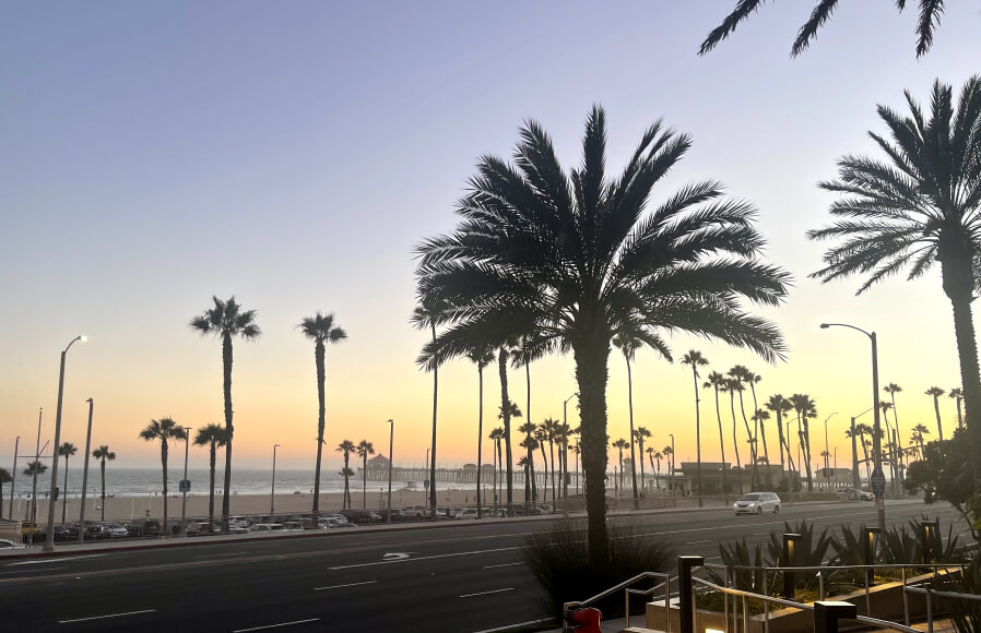 oceanside view dining