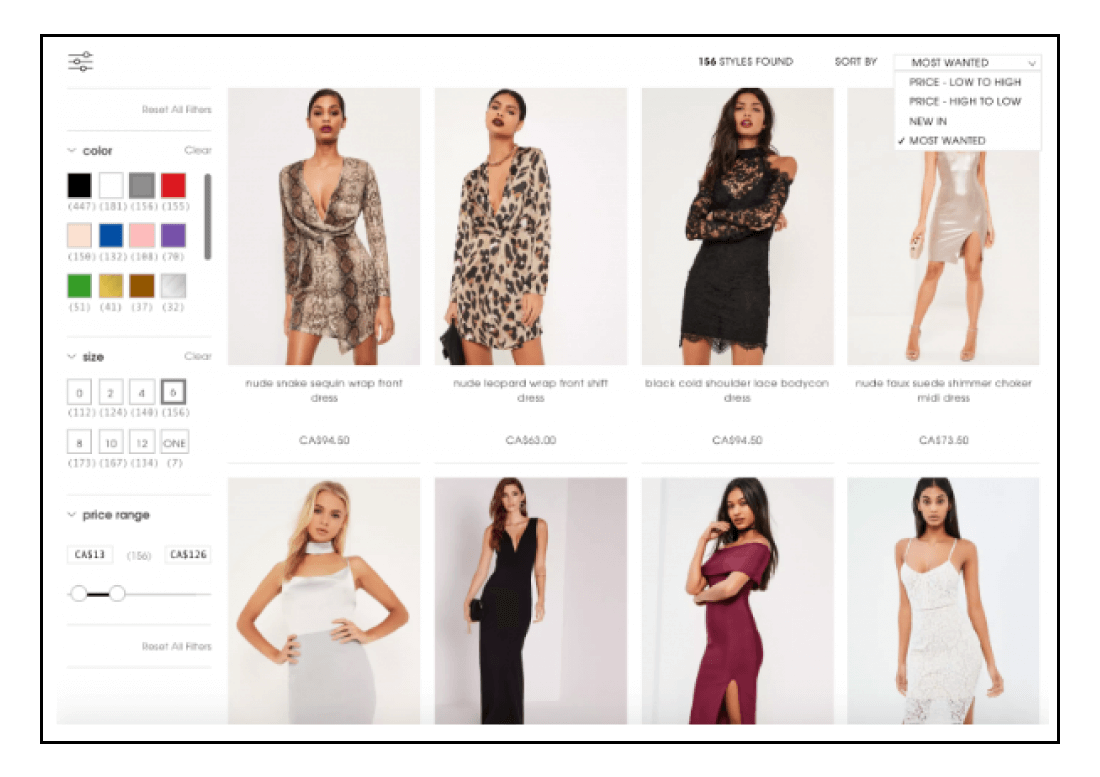 Ecommerce Customer Pain Point - Product Filters