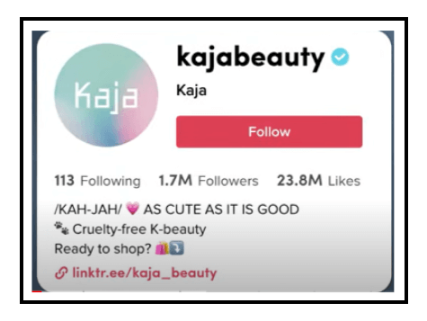TikTok Marketing - Setting up profile name and photo