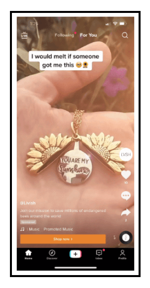 Leverage different types of TikTok Ecommerce Ads - In-feed Ads
