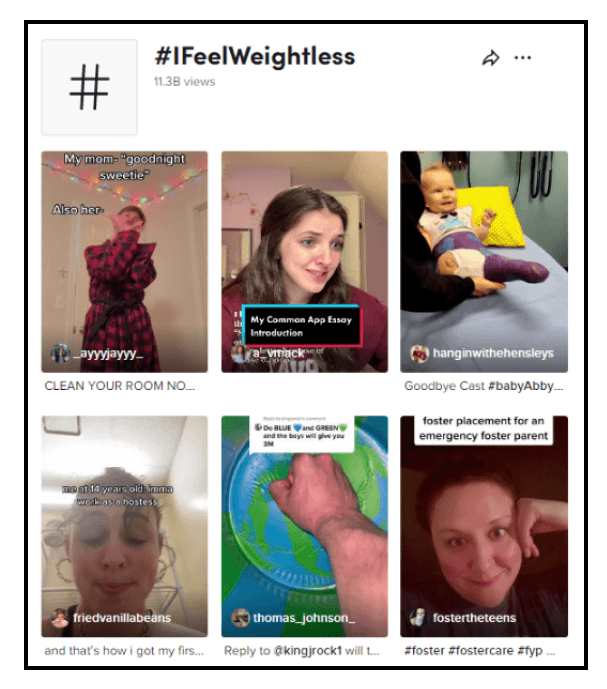 Leverage different types of TikTok Ecommerce Ads - Sponsored Hashtag Challenge
