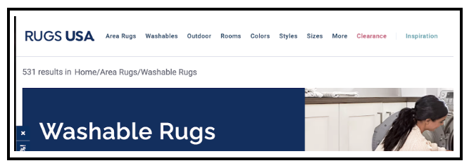 25 Best Shopify Stores - Ruggable