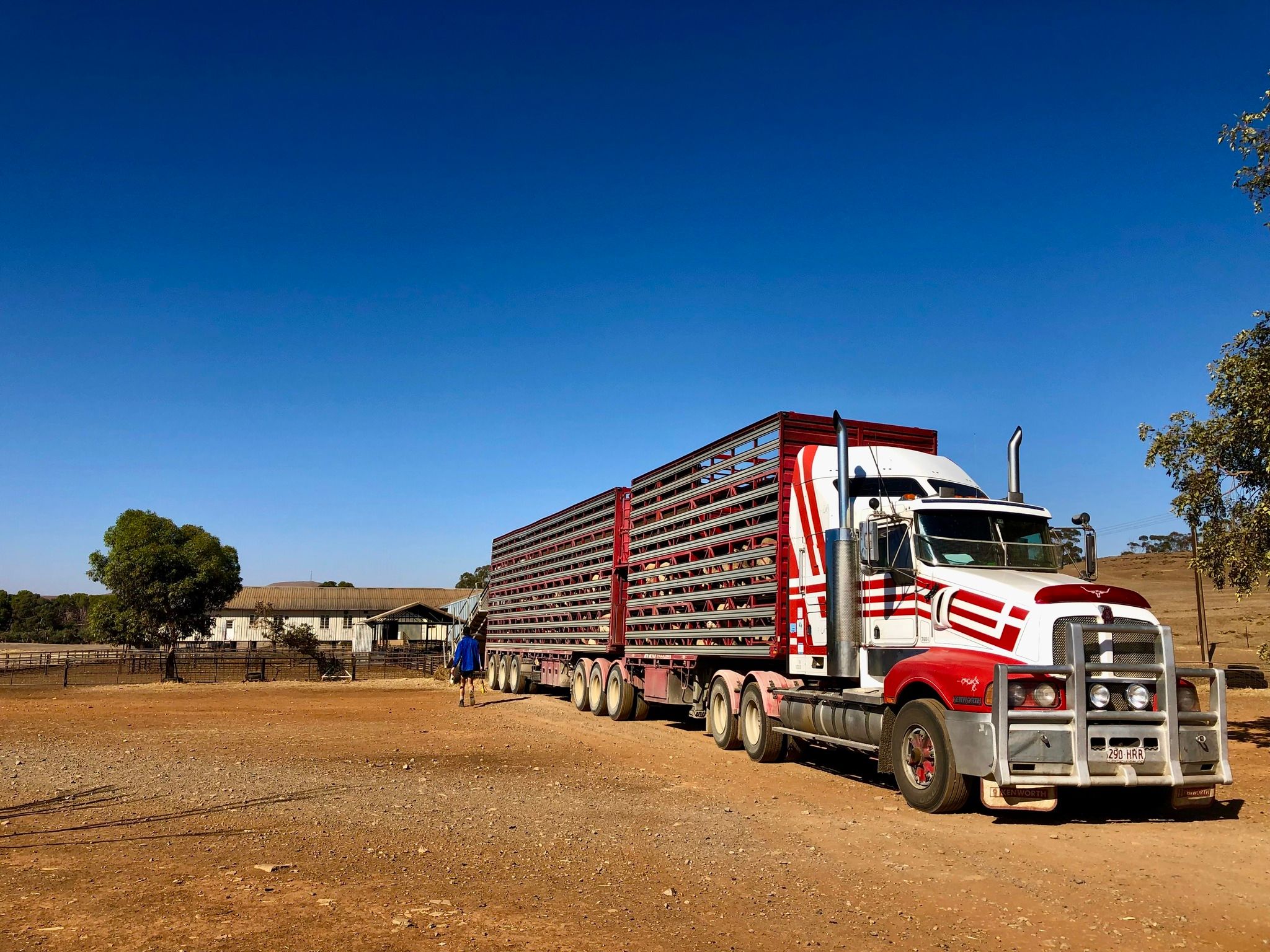 About Cavanaghs Stockmaster Livestock Transportation Solutions