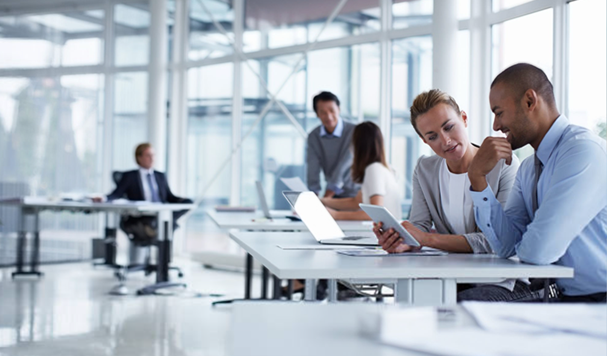Most companies go through a version of Digital Transformation. Only a few succeed.