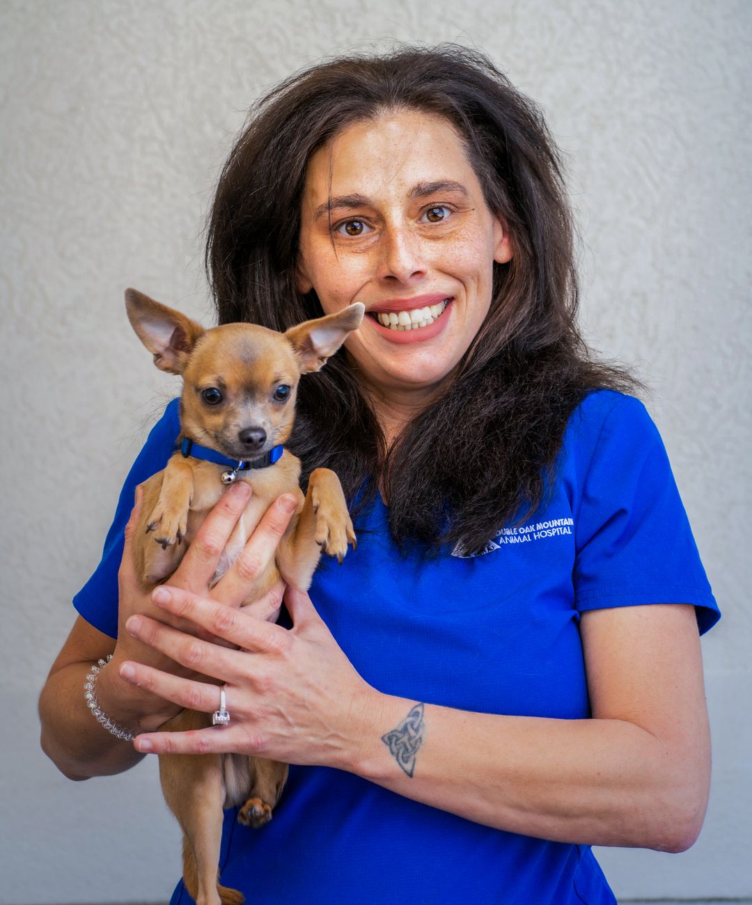 Meet Our Team At Double Oak Mountain Animal Hospital