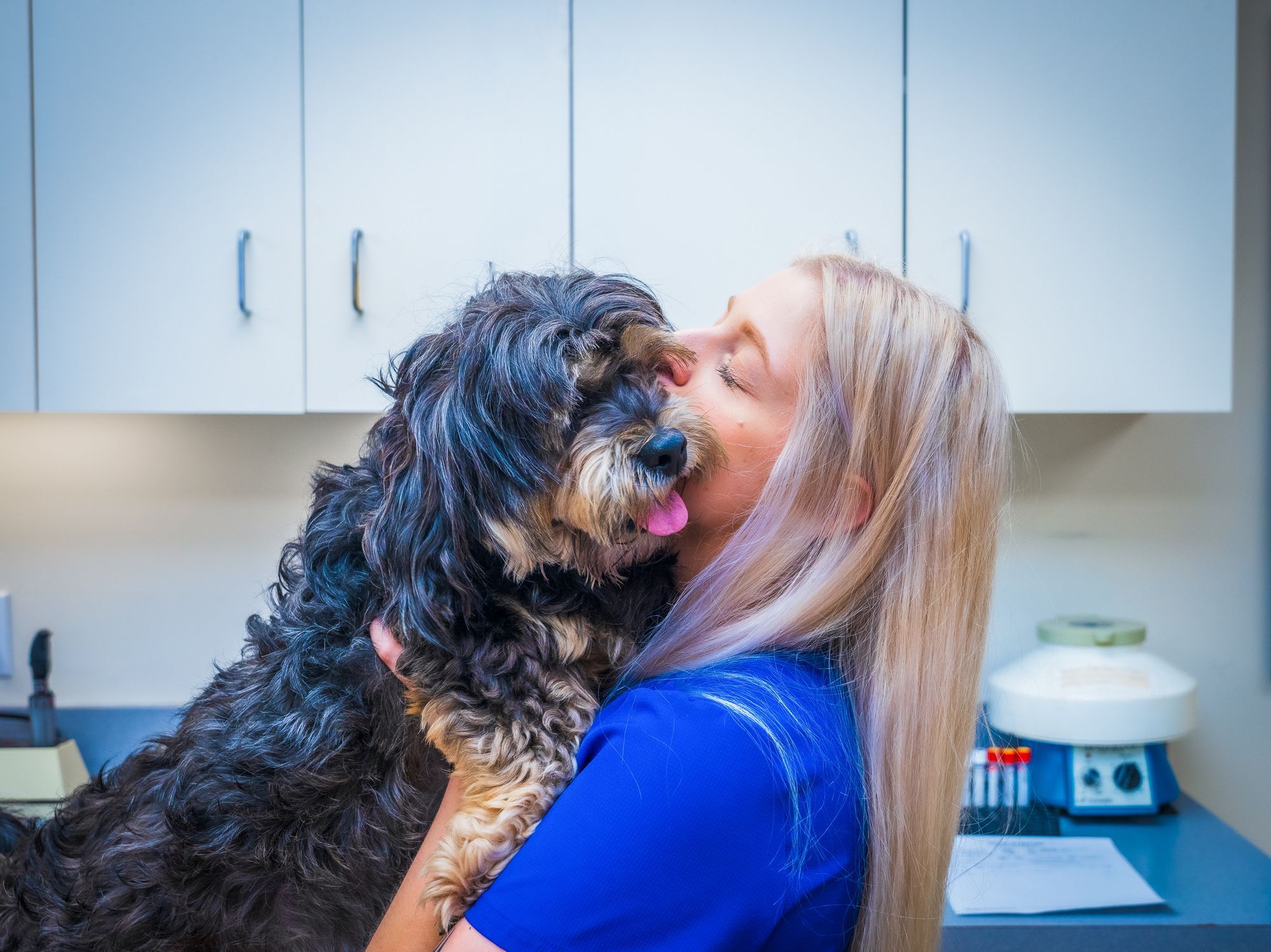 HighQuality Vet Hospital in Birmingham, AL Double Oak Mountain