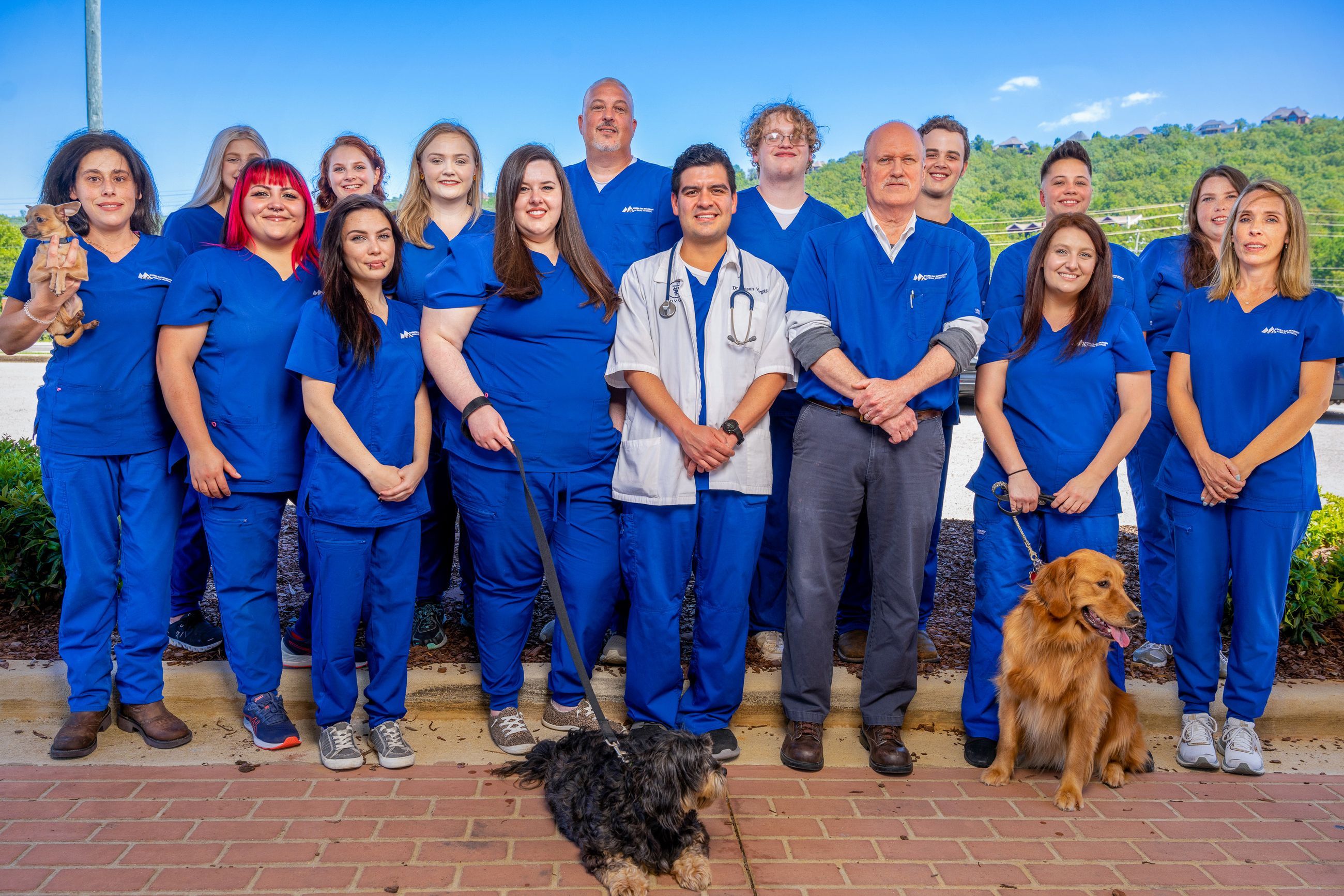 Meet Our Team At Double Oak Mountain Animal Hospital