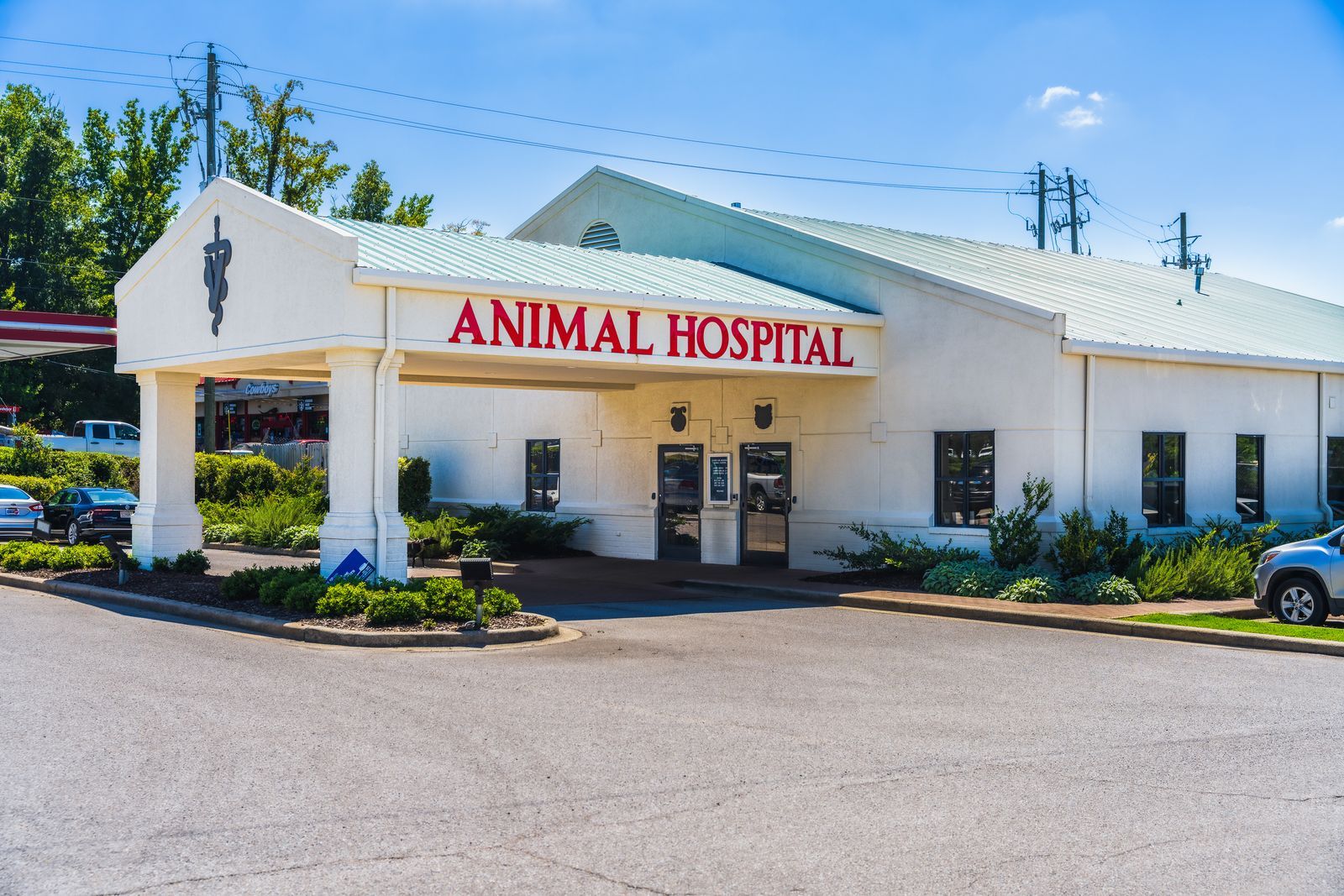 HighQuality Vet Hospital in Birmingham, AL Double Oak Mountain
