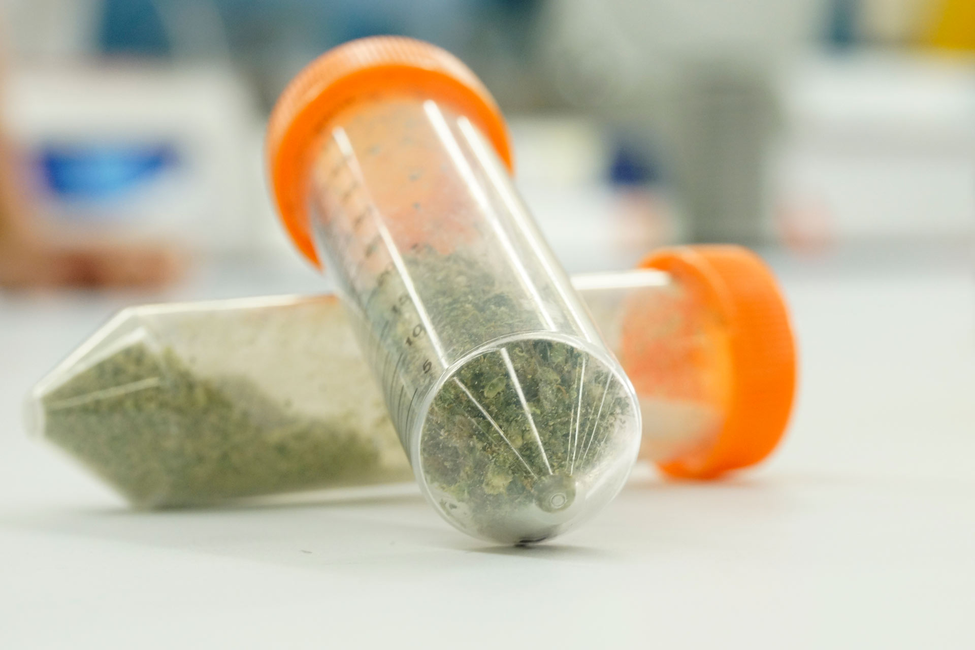 Cannabis samples inside a test vial