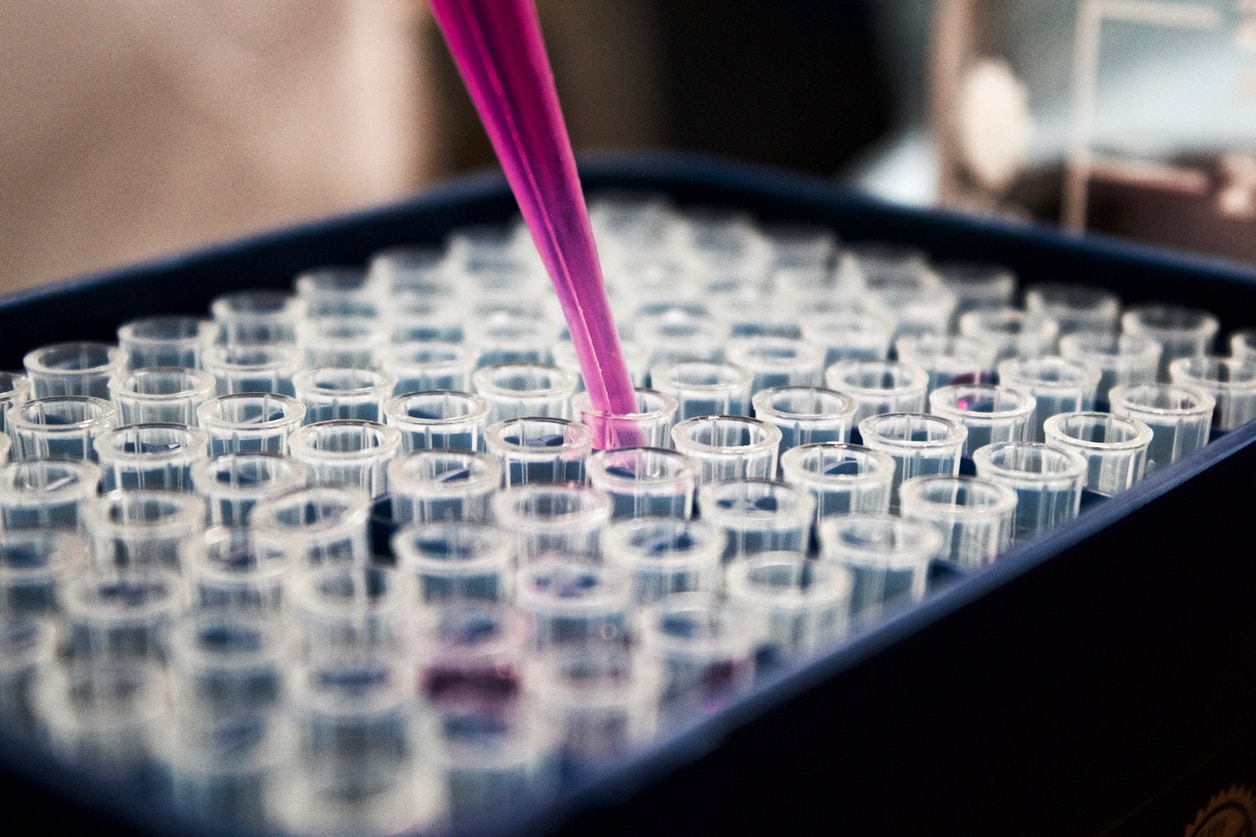 A scientist transferring Cannibis into vials.